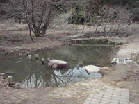 完成